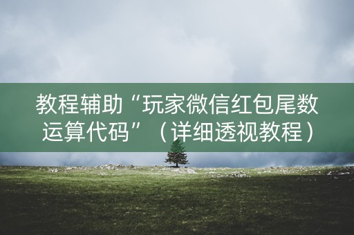 教程辅助“玩家微信红包尾数运算代码”（详细透视教程）-哔哩哔哩