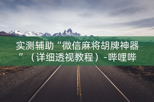 实测辅助“微信麻将胡牌神器”（详细透视教程）-哔哩哔哩