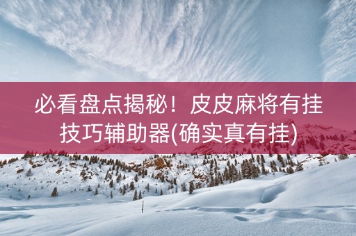 必看盘点揭秘！皮皮麻将有挂技巧辅助器(确实真有挂)