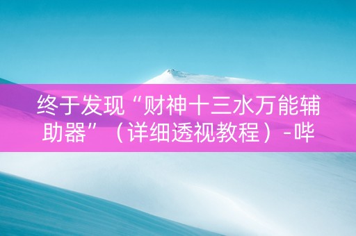 终于发现“财神十三水万能辅助器”（详细透视教程）-哔哩哔哩