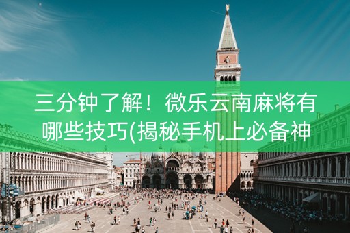 三分钟了解！微乐云南麻将有哪些技巧(揭秘手机上必备神器)