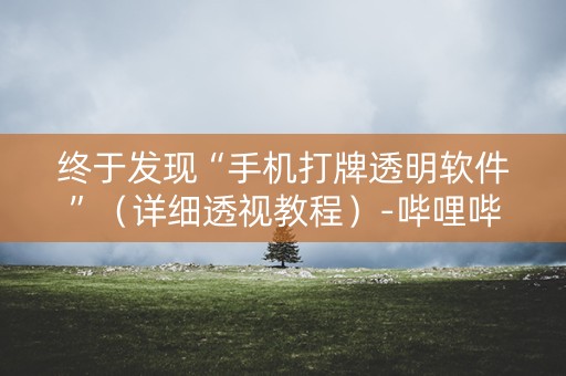 终于发现“手机打牌透明软件”（详细透视教程）-哔哩哔哩