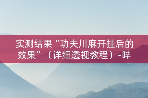 实测结果“功夫川麻开挂后的效果”（详细透视教程）-哔哩哔哩
