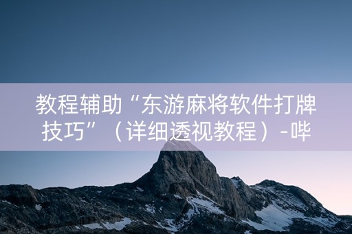 教程辅助“东游麻将软件打牌技巧”（详细透视教程）-哔哩哔哩