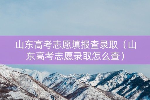 山东高考志愿填报查录取（山东高考志愿录取怎么查）