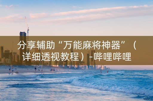 分享辅助“万能麻将神器”（详细透视教程）-哔哩哔哩
