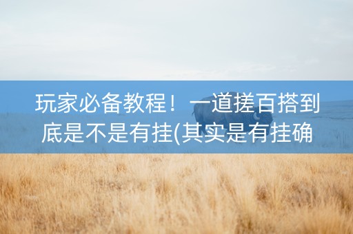 玩家必备教程！一道搓百搭到底是不是有挂(其实是有挂确实有挂)