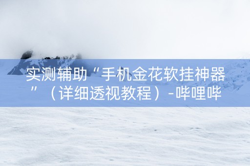 实测辅助“手机金花软挂神器”（详细透视教程）-哔哩哔哩