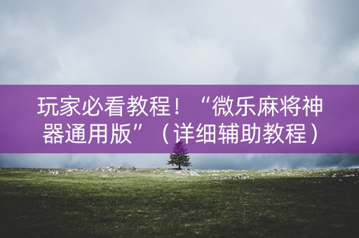 玩家必看教程！“微乐麻将神器通用版”（详细辅助教程）-哔哩哔哩