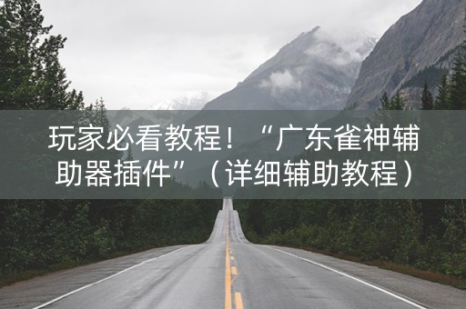 玩家必看教程！“广东雀神辅助器插件”（详细辅助教程）-哔哩哔哩