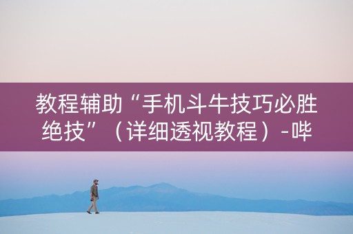 教程辅助“手机斗牛技巧必胜绝技”（详细透视教程）-哔哩哔哩
