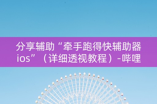 分享辅助“牵手跑得快辅助器ios”（详细透视教程）-哔哩哔哩