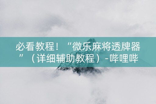 必看教程！“微乐麻将透牌器”（详细辅助教程）-哔哩哔哩