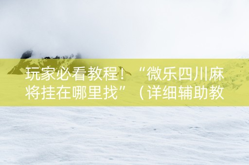 玩家必看教程！“微乐四川麻将挂在哪里找”（详细辅助教程）-哔哩哔哩