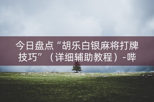 今日盘点“胡乐白银麻将打牌技巧”（详细辅助教程）-哔哩哔哩
