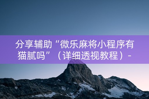 分享辅助“微乐麻将小程序有猫腻吗”（详细透视教程）-哔哩哔哩