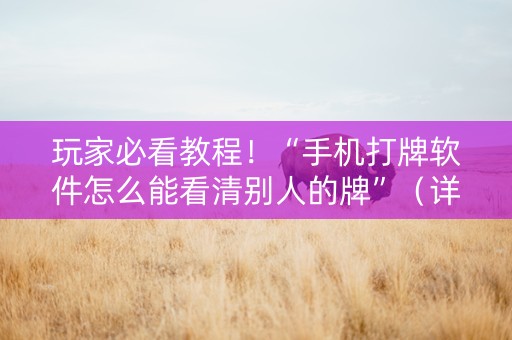 玩家必看教程！“手机打牌软件怎么能看清别人的牌”（详细透视教程）-哔哩哔哩
