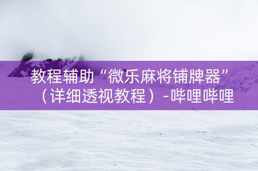 教程辅助“微乐麻将铺牌器”（详细透视教程）-哔哩哔哩
