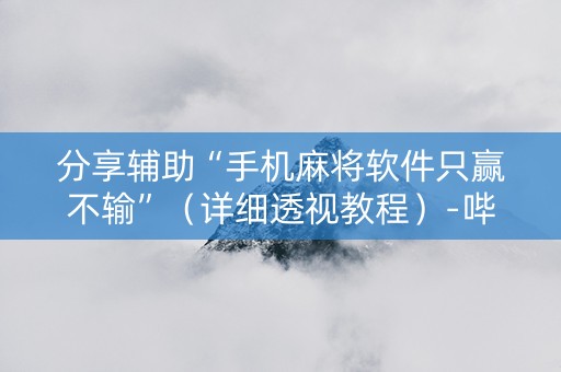 分享辅助“手机麻将软件只赢不输”（详细透视教程）-哔哩哔哩