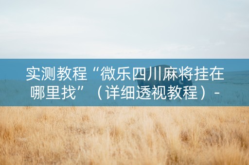 实测教程“微乐四川麻将挂在哪里找”（详细透视教程）-哔哩哔哩