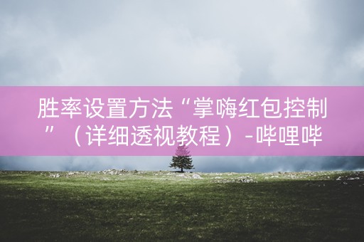 胜率设置方法“掌嗨红包控制”（详细透视教程）-哔哩哔哩