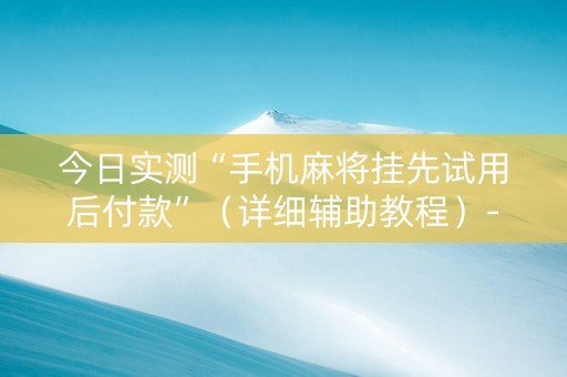 今日实测“手机麻将挂先试用后付款”（详细辅助教程）-哔哩哔哩