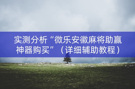 实测分析“微乐安徽麻将助赢神器购买”（详细辅助教程）-哔哩哔哩