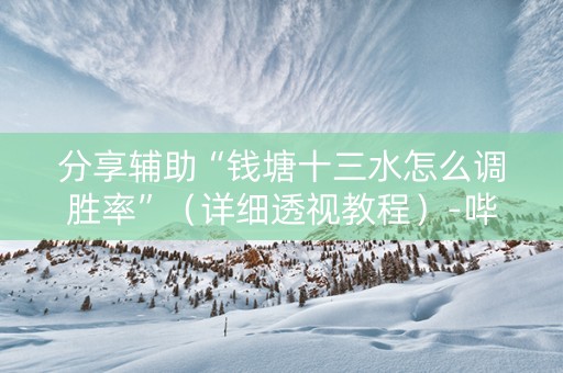 分享辅助“钱塘十三水怎么调胜率”（详细透视教程）-哔哩哔哩