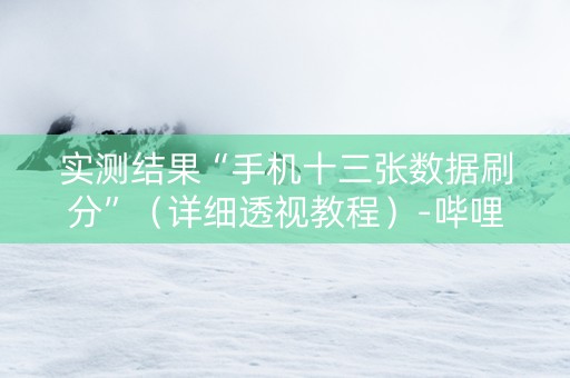 实测结果“手机十三张数据刷分”（详细透视教程）-哔哩哔哩