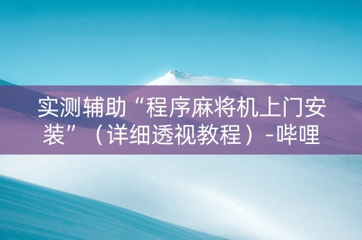 实测辅助“程序麻将机上门安装”（详细透视教程）-哔哩哔哩
