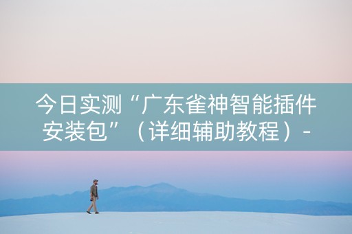 今日实测“广东雀神智能插件安装包”（详细辅助教程）-哔哩哔哩