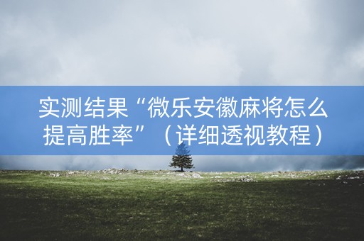实测结果“微乐安徽麻将怎么提高胜率”（详细透视教程）-哔哩哔哩