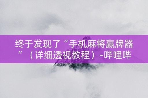 终于发现了“手机麻将赢牌器”（详细透视教程）-哔哩哔哩