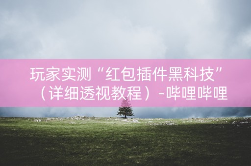 玩家实测“红包插件黑科技”（详细透视教程）-哔哩哔哩