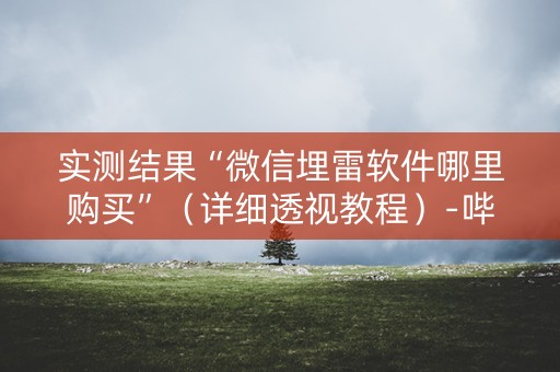 实测结果“微信埋雷软件哪里购买”（详细透视教程）-哔哩哔哩