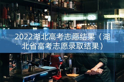2022湖北高考志愿结果（湖北省高考志愿录取结果）