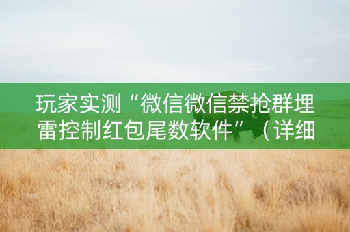 玩家实测“微信微信禁抢群埋雷控制红包尾数软件”（详细透视教程）-哔哩哔哩
