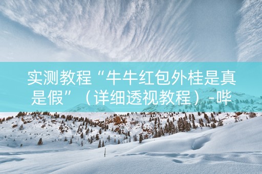 实测教程“牛牛红包外桂是真是假”（详细透视教程）-哔哩哔哩