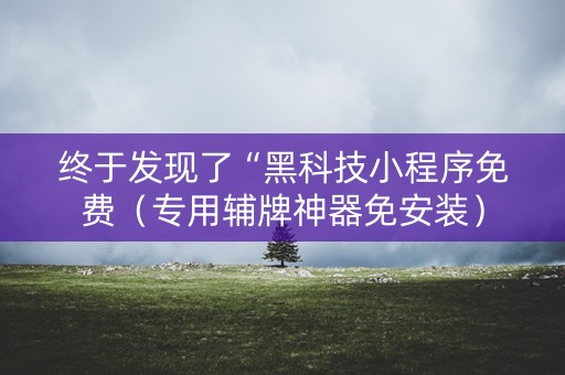终于发现了“黑科技小程序免费（专用辅牌神器免安装）