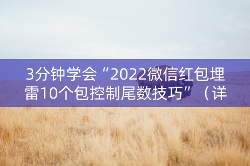 3分钟学会“2022微信红包埋雷10个包控制尾数技巧”（详细透视教程）-哔哩哔哩