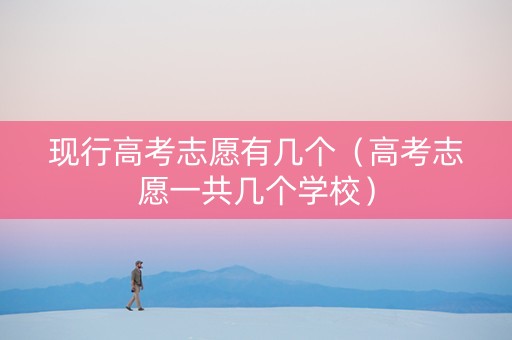 现行高考志愿有几个（高考志愿一共几个学校）