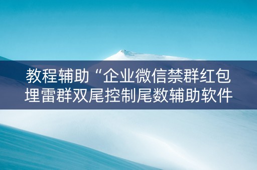 教程辅助“企业微信禁群红包埋雷群双尾控制尾数辅助软件”（详细透视教程）-哔哩哔哩