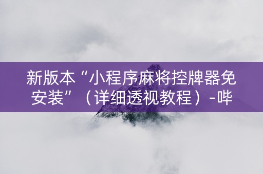 新版本“小程序麻将控牌器免安装”（详细透视教程）-哔哩哔哩