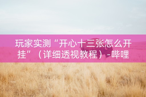 玩家实测“开心十三张怎么开挂”（详细透视教程）-哔哩哔哩