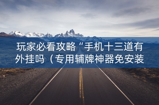 玩家必看攻略“手机十三道有外挂吗（专用辅牌神器免安装）