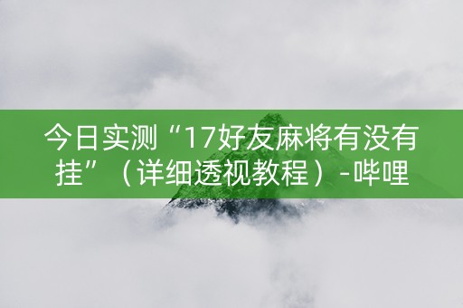 今日实测“17好友麻将有没有挂”（详细透视教程）-哔哩哔哩