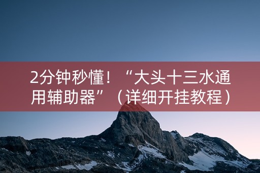 2分钟秒懂！“大头十三水通用辅助器”（详细开挂教程）-哔哩哔哩