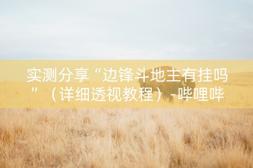 实测分享“边锋斗地主有挂吗”（详细透视教程）-哔哩哔哩