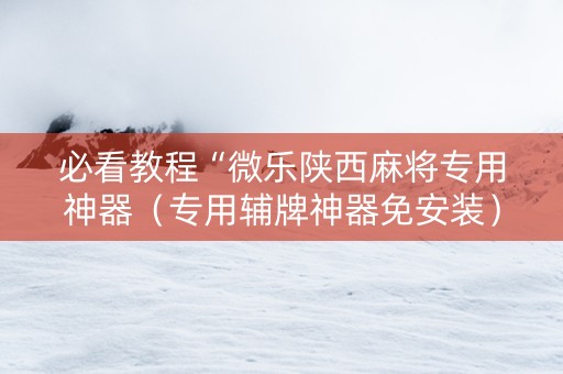 必看教程“微乐陕西麻将专用神器（专用辅牌神器免安装）