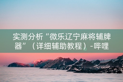 实测分析“微乐辽宁麻将辅牌器”（详细辅助教程）-哔哩哔哩